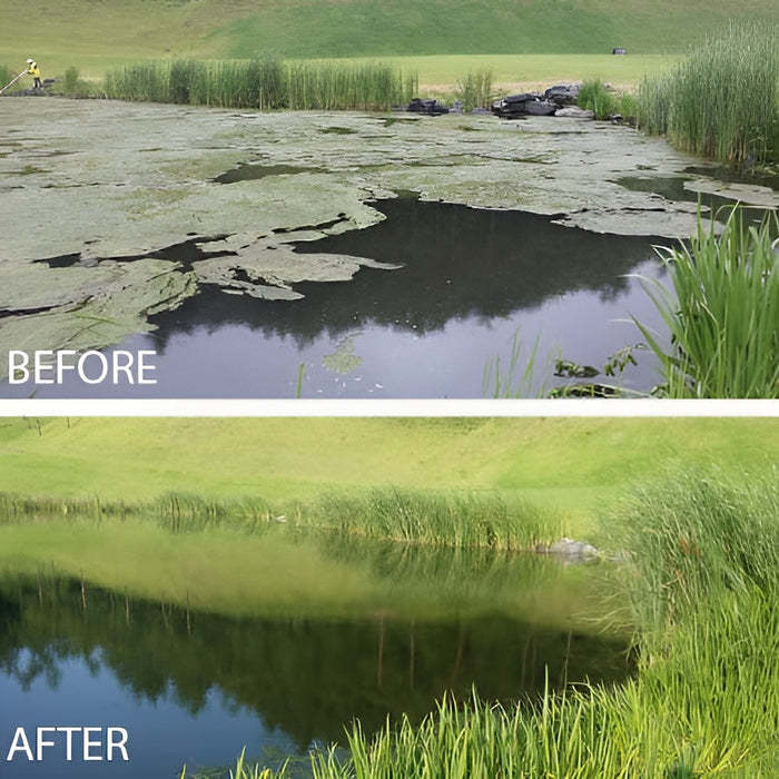 Kasco Pond Probiotics