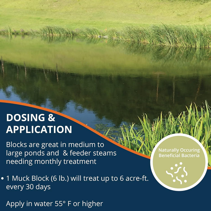 Kasco Pond Probiotics
