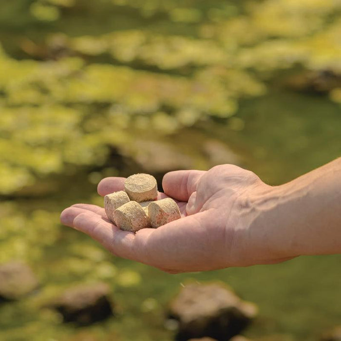 Kasco Pond Probiotics