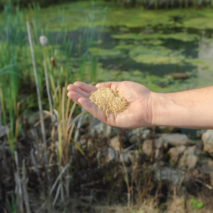 Kasco Pond Probiotics