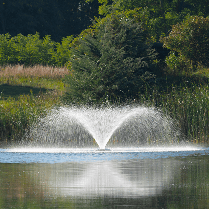 Kasco VFX Aerating Fountains