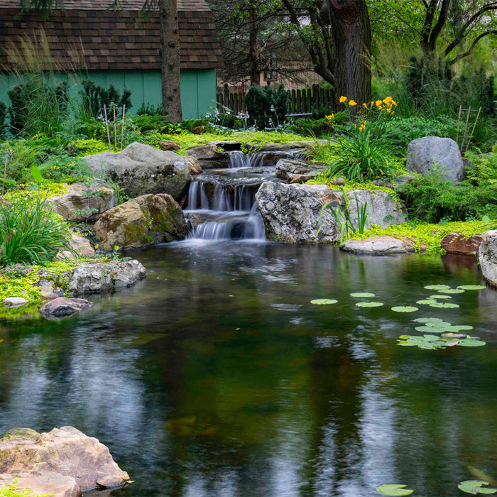 Aquascape Large Pond Kit 21' x 26'