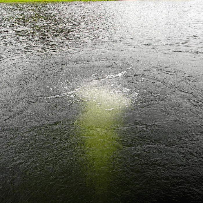Scott Aerator Bubble Pro Sub-Surface Aerator