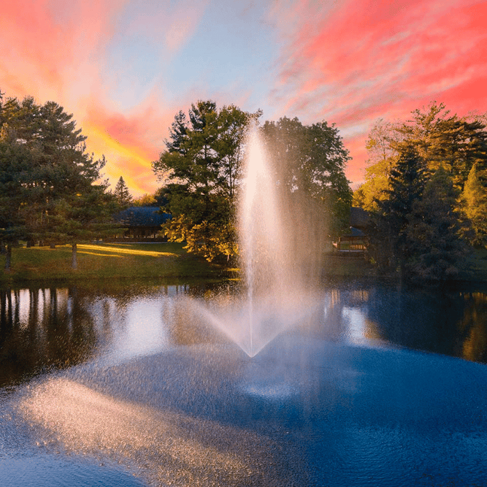 Scott Aerator Skyward Pond Fountain